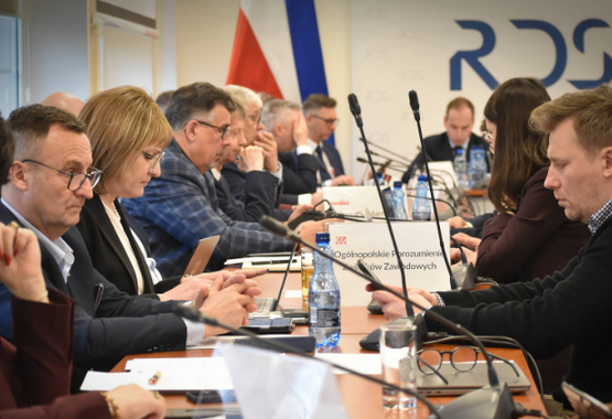 Strategia Rozwoju Polski 2035 tematem posiedzenia RDS
