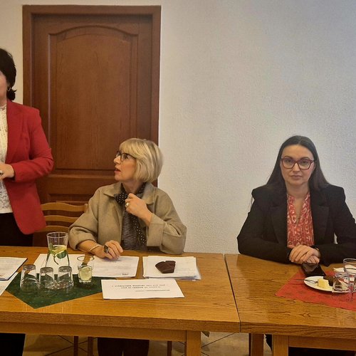 Obraz Aktualności o tytule Zespół ds. równości dyskutuje o przeciwdziałaniu przemocy